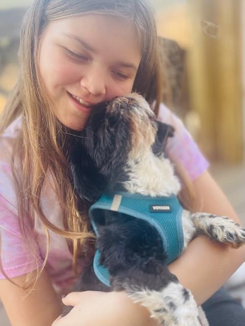 JUNIPER, a ADOPTABLE mixed breed in Alpharetta, GA image 4/6