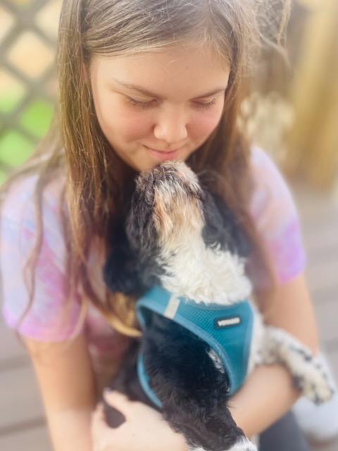 JUNIPER, a ADOPTABLE mixed breed in Alpharetta, GA image 5/6