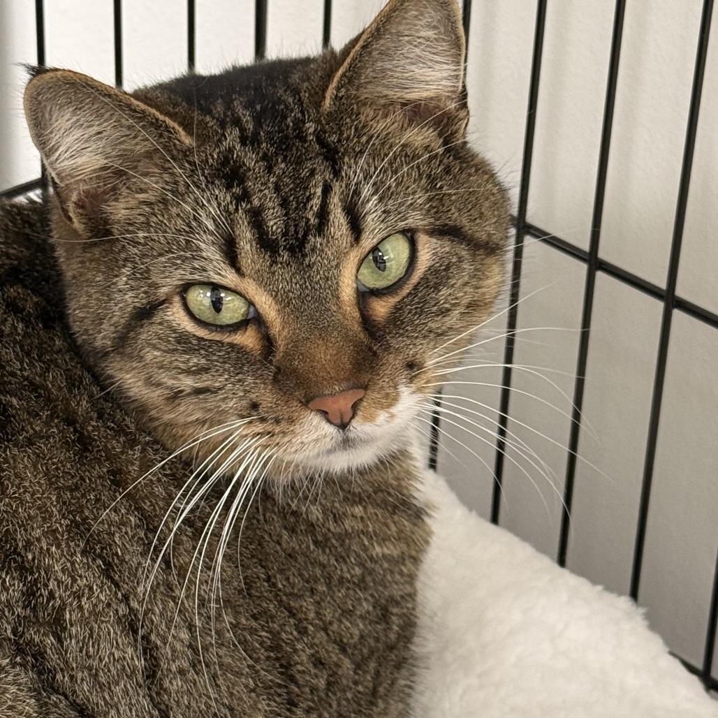 Jupiter — thumbnail 2