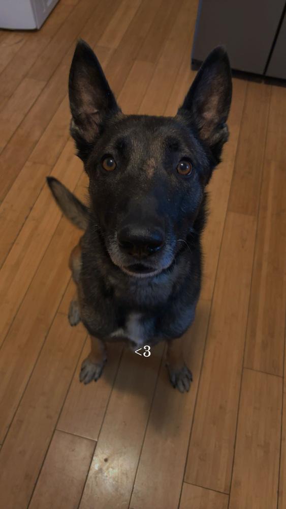 Dante Fka Max  thumbnail 5