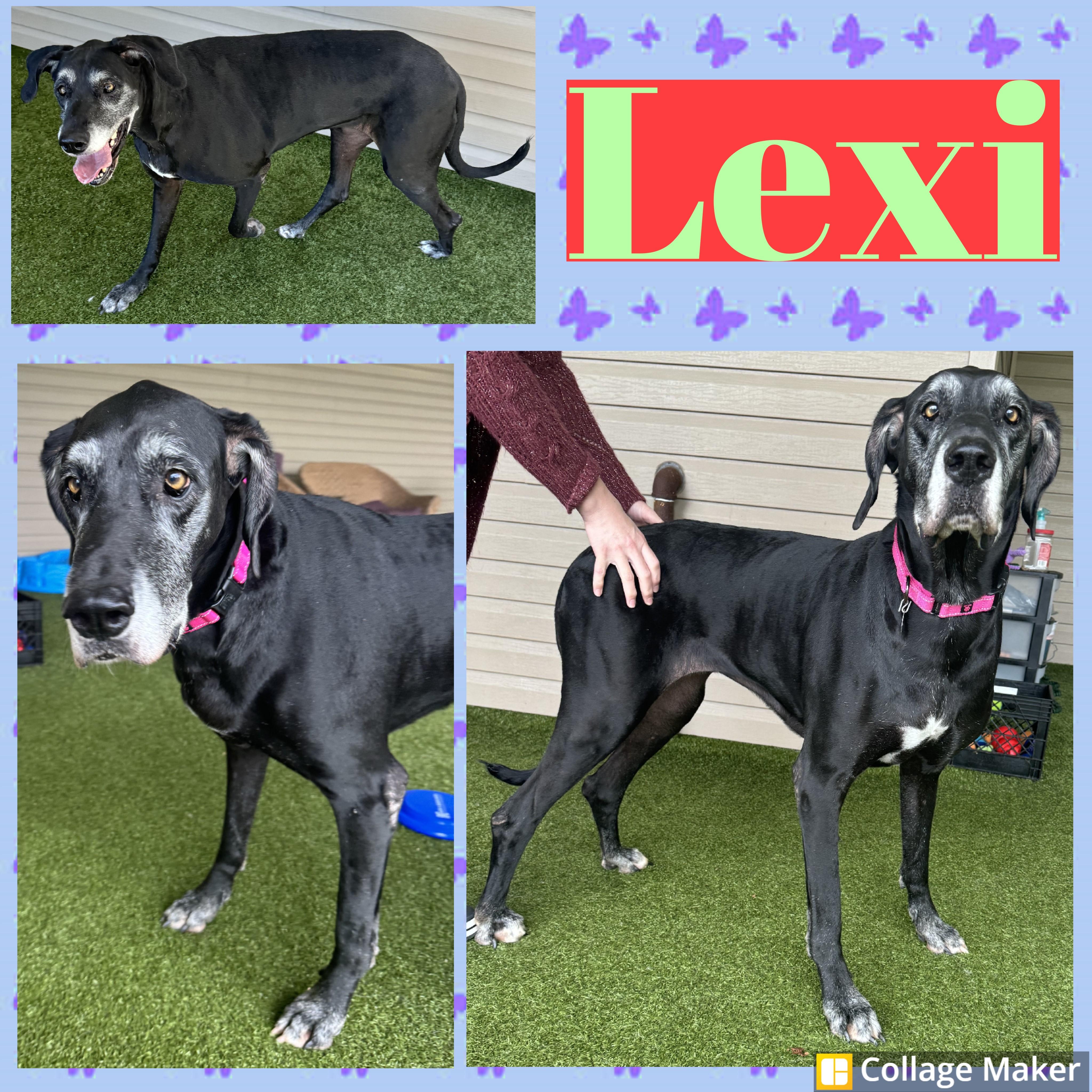 Lexi