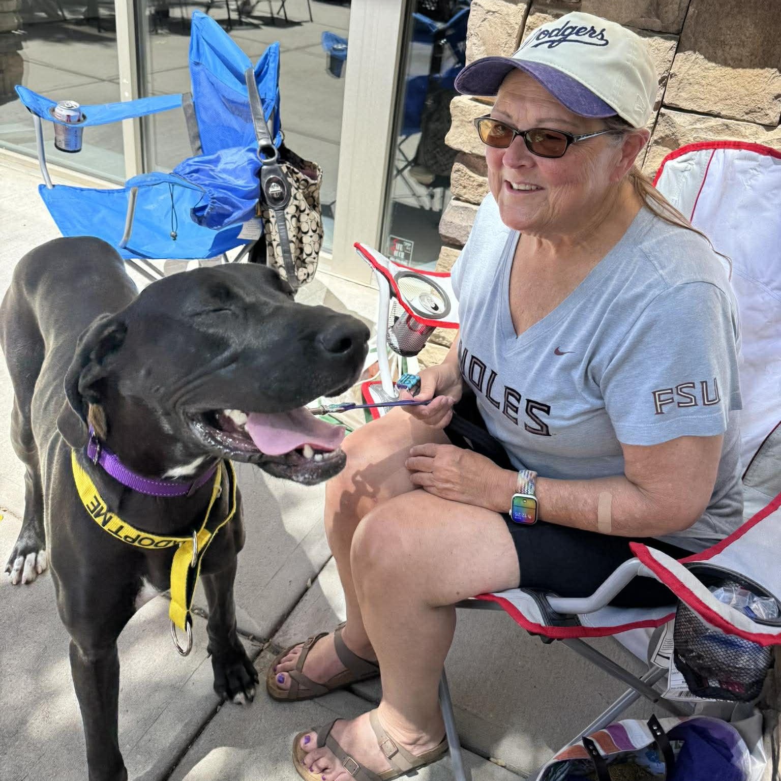 Enlarge Sasha, a ADOPTABLE Great Dane in Pensacola, FL image 4/4