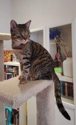 Frank and Lucky — thumbnail 2