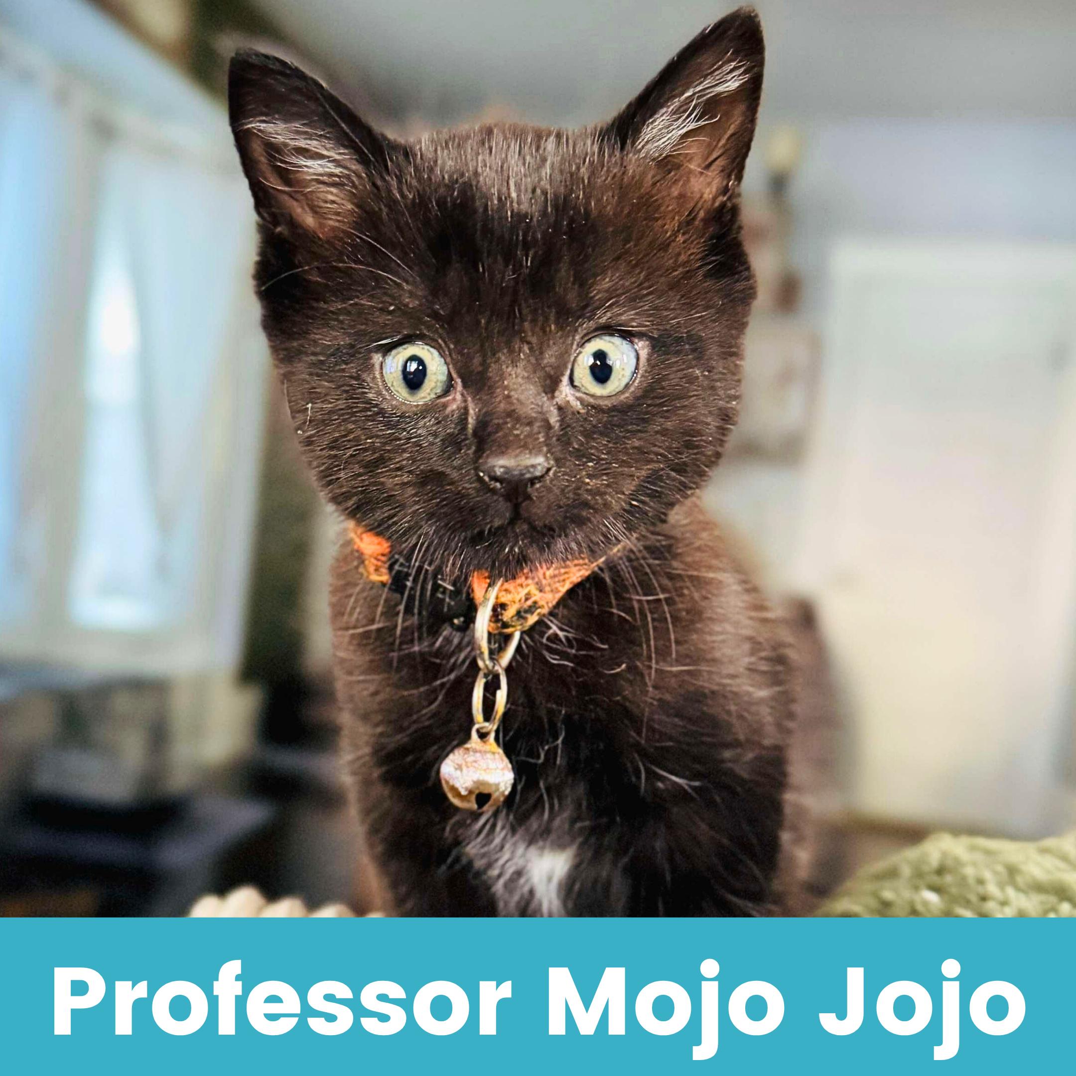 Professor Mojo Jojo