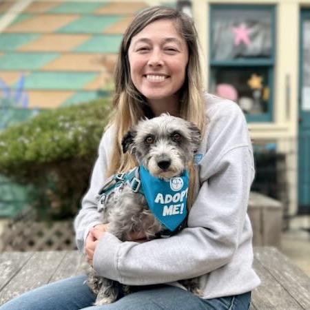 Enlarge Fifa, a Adoptable Schnauzer in Pacific Grove, CA image 2/6