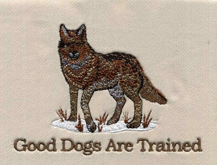 Enlarge Alvin, a Adoptable mixed breed in Moriarty, NM image 9/11