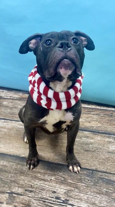 Topher — thumbnail 3