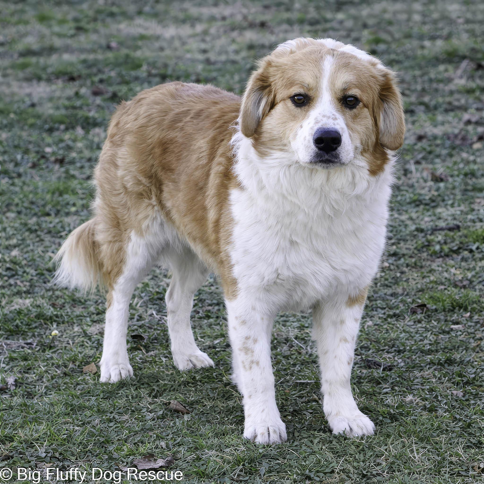 Annelise — thumbnail 3