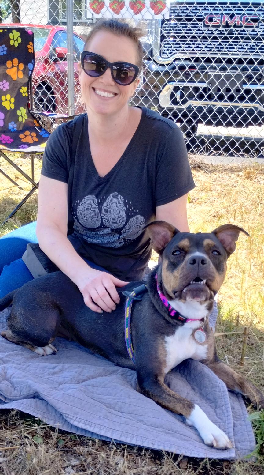 Fergie, ADOPTABLE, Adult Female Terrier & Mixed Breed.