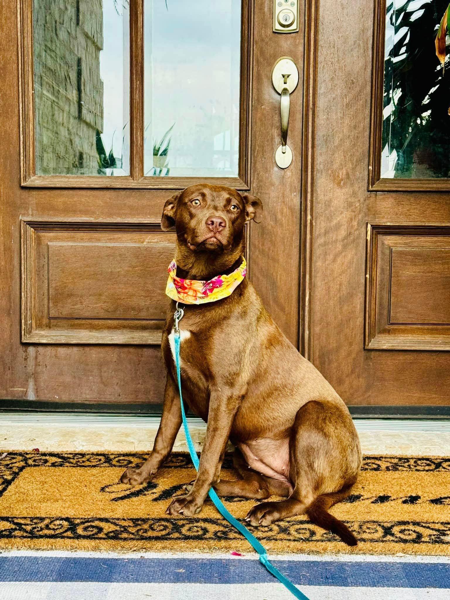 Nikki (20250128-02) — thumbnail 3