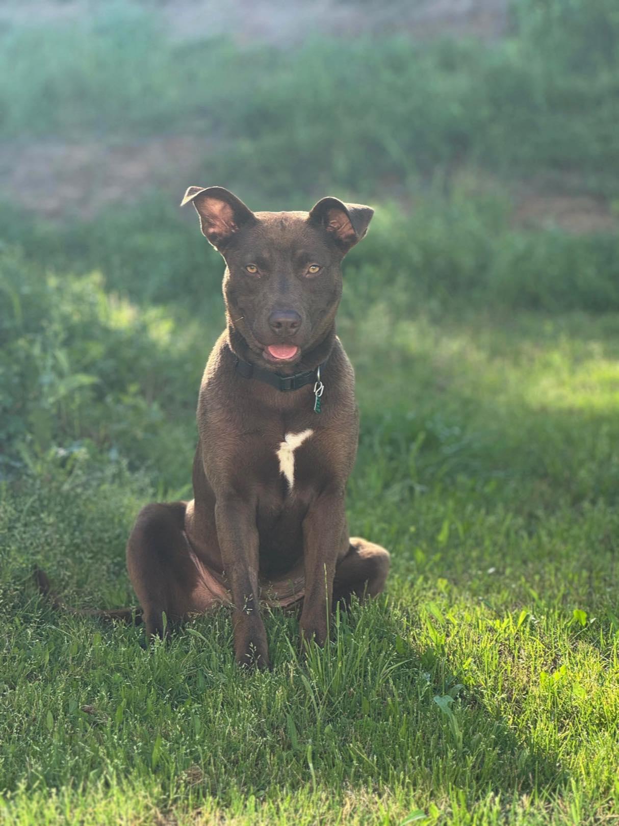 Nikki (20250128-02) — thumbnail 4