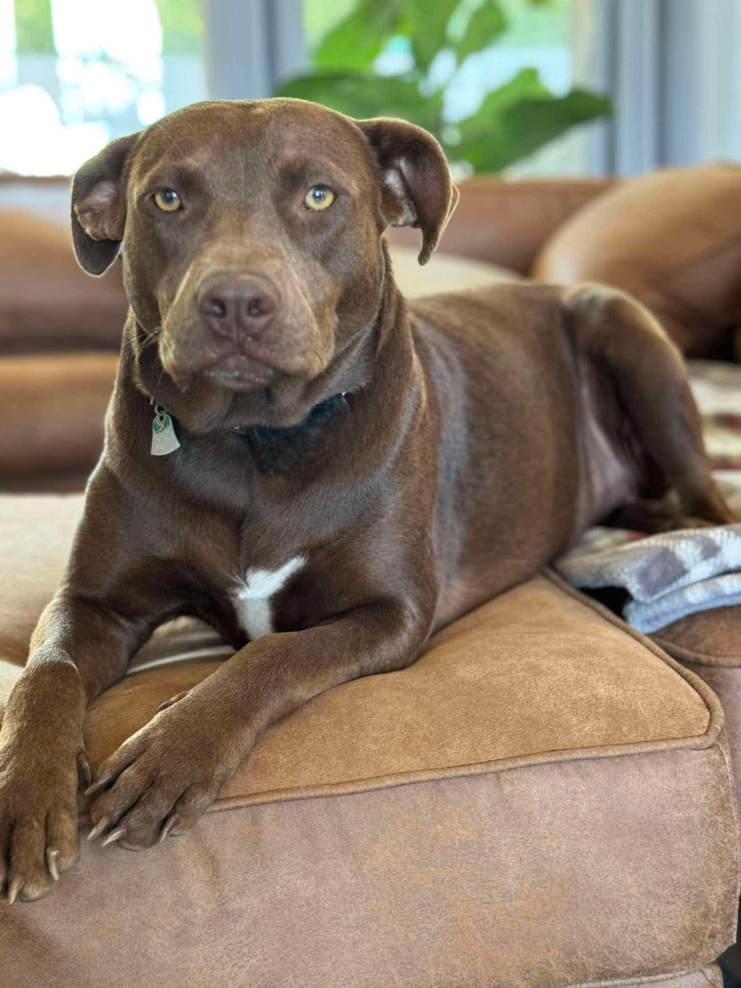 Nikki (20250128-02) — thumbnail 5