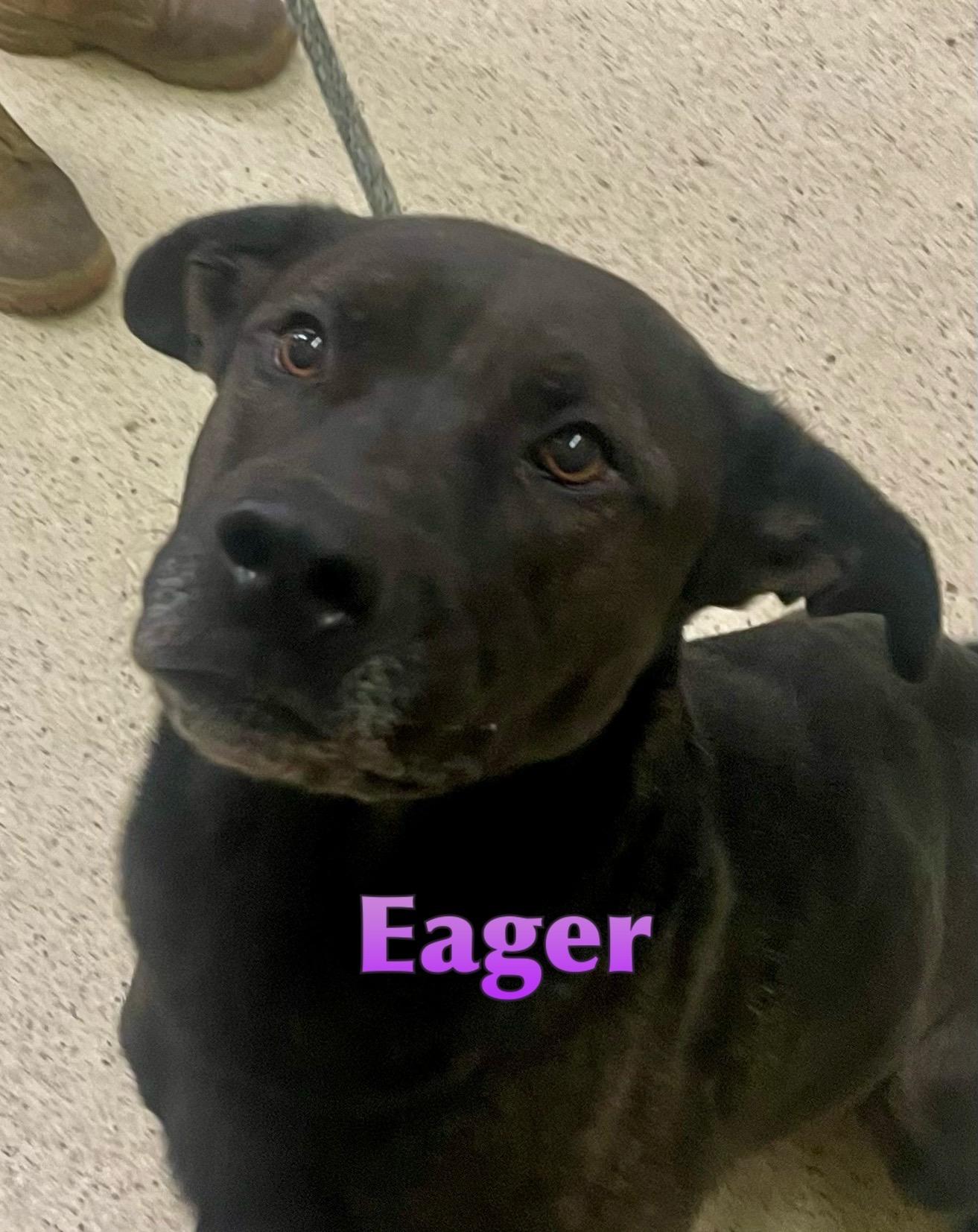 Eager