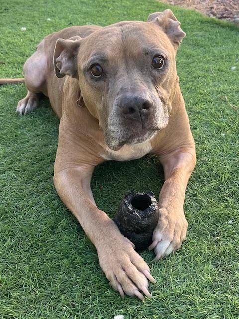 BABY GIRL photo 2