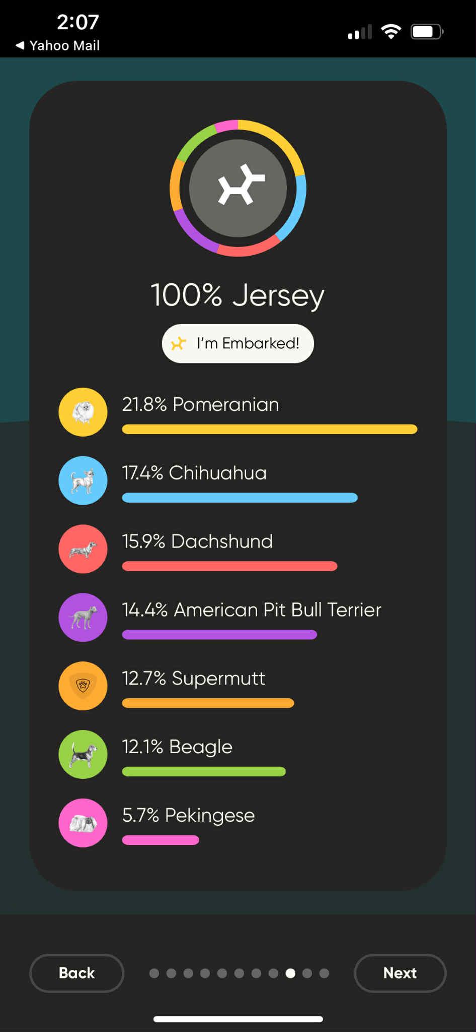 Jersey, a Adoptable mixed breed in Toledo, OH image 3/3