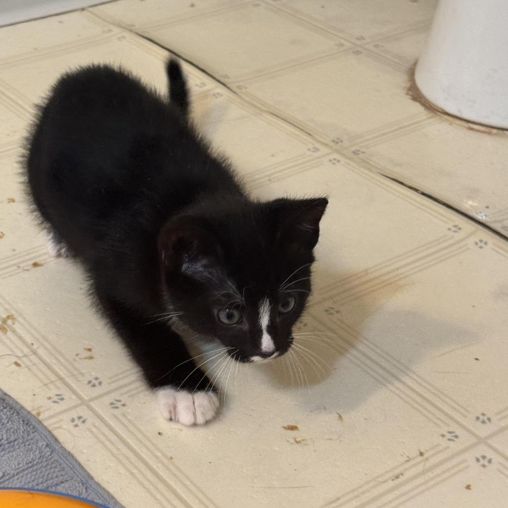 Twix — thumbnail 3