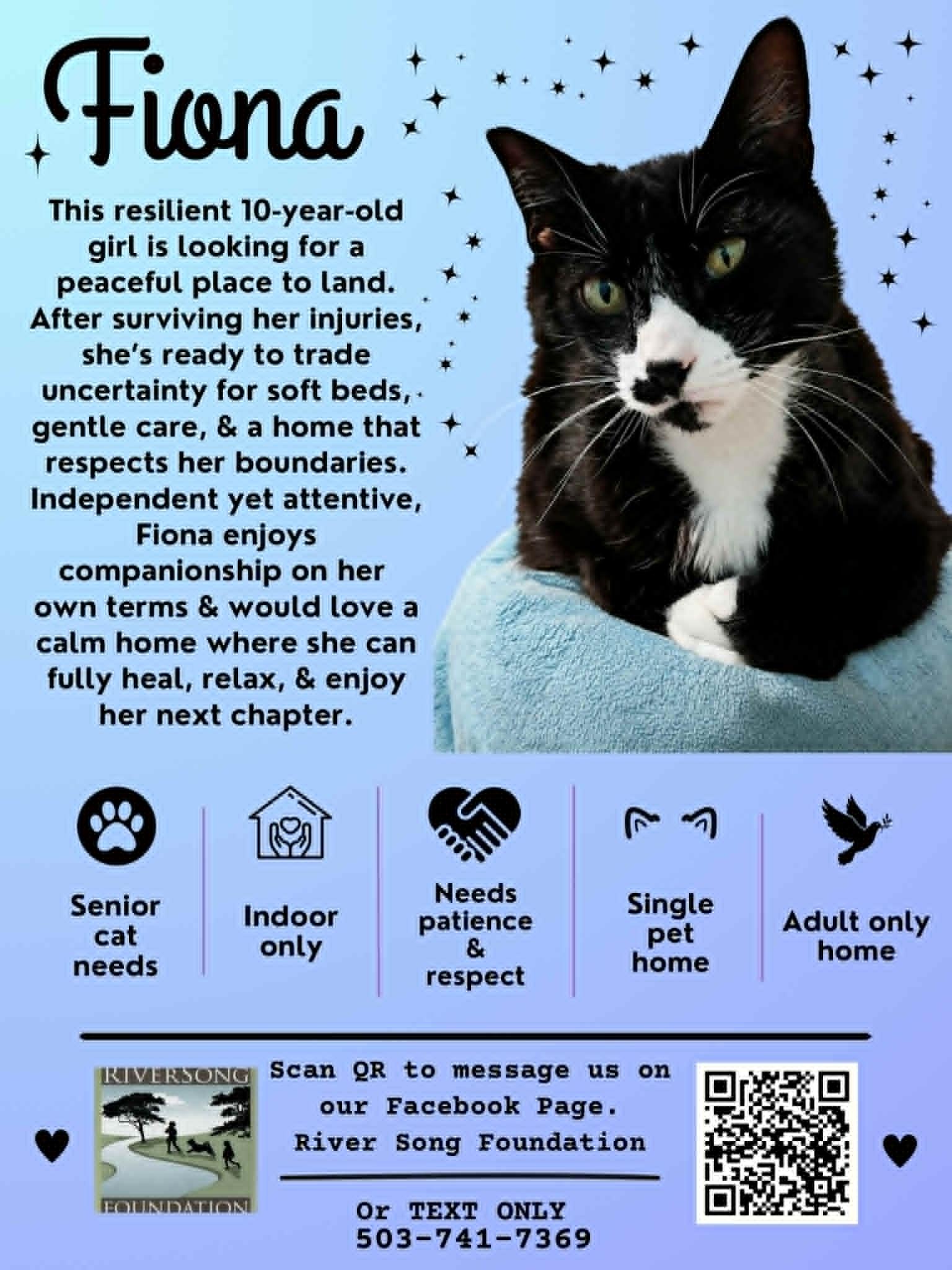 Fiona, ADOPTABLE, Senior Female Domestic Medium Hair.