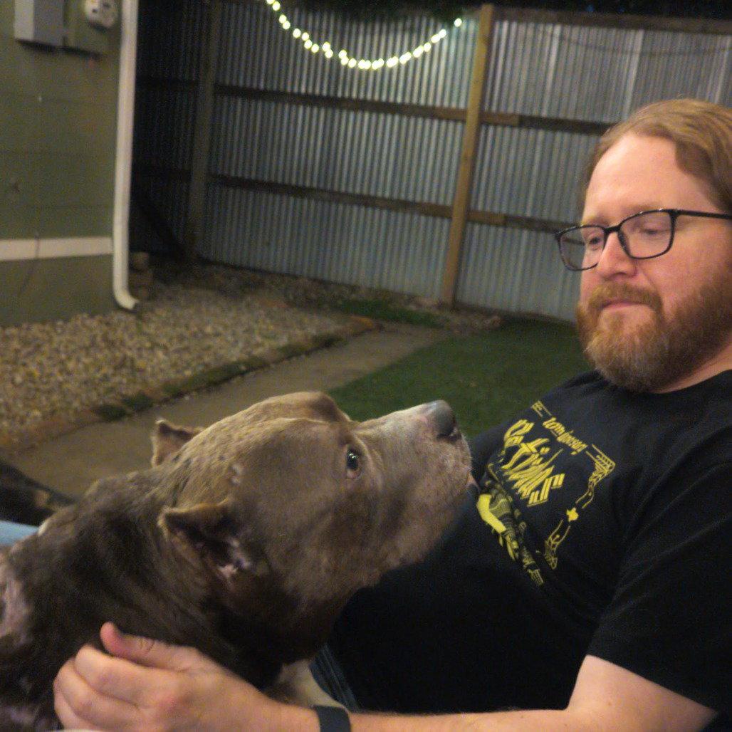 Freyja, a Adoptable Pit Bull Terrier in Dallas, TX image 3/3