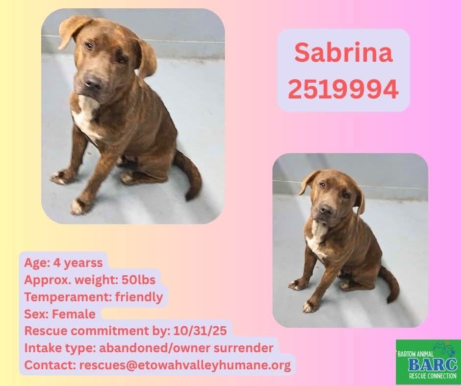 LAST CALL: Sabrina [11/3]