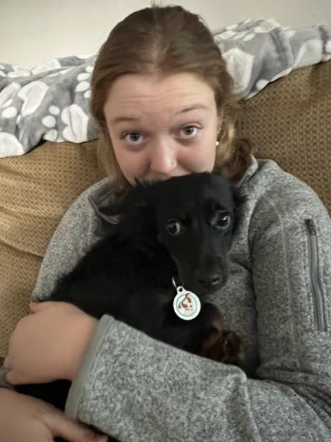 Enlarge Twix, a Adopted mixed breed in San Bruno, CA image 3/5