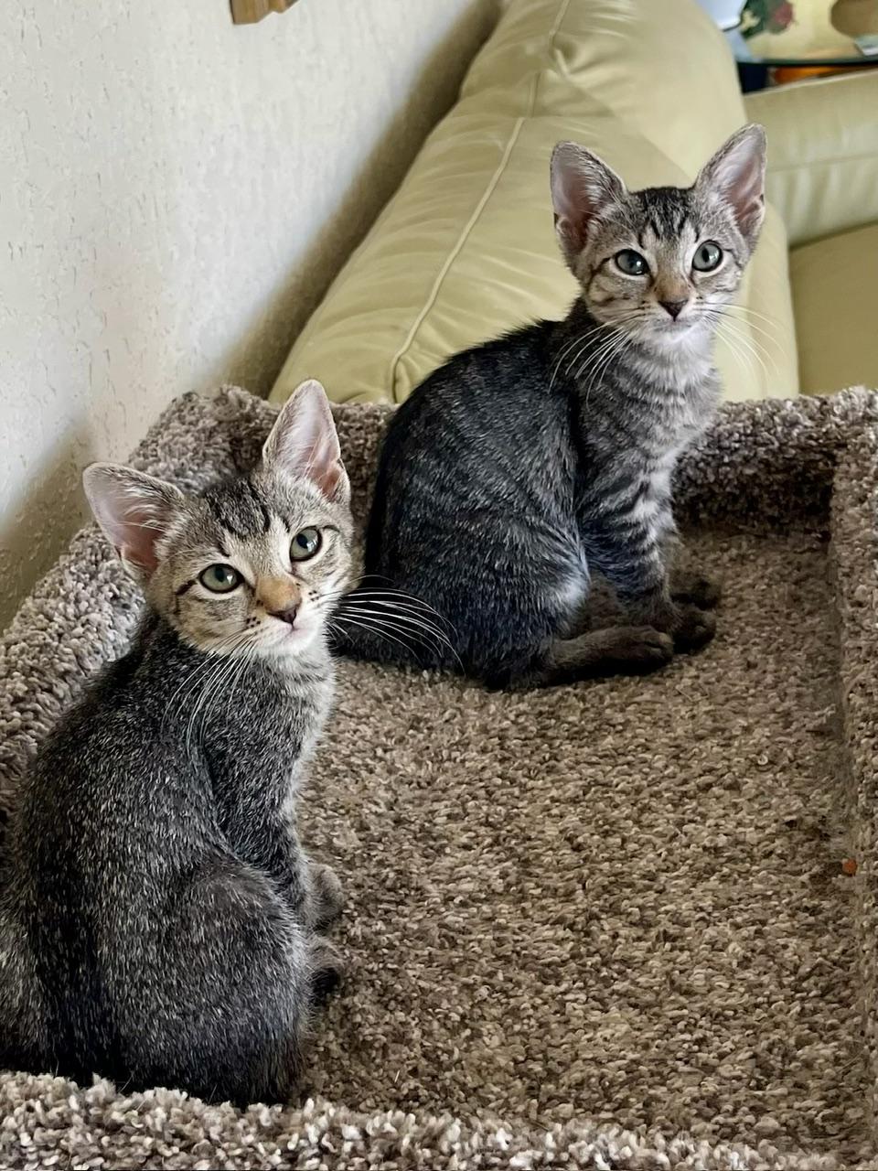 Holly & Lauren - BONDED