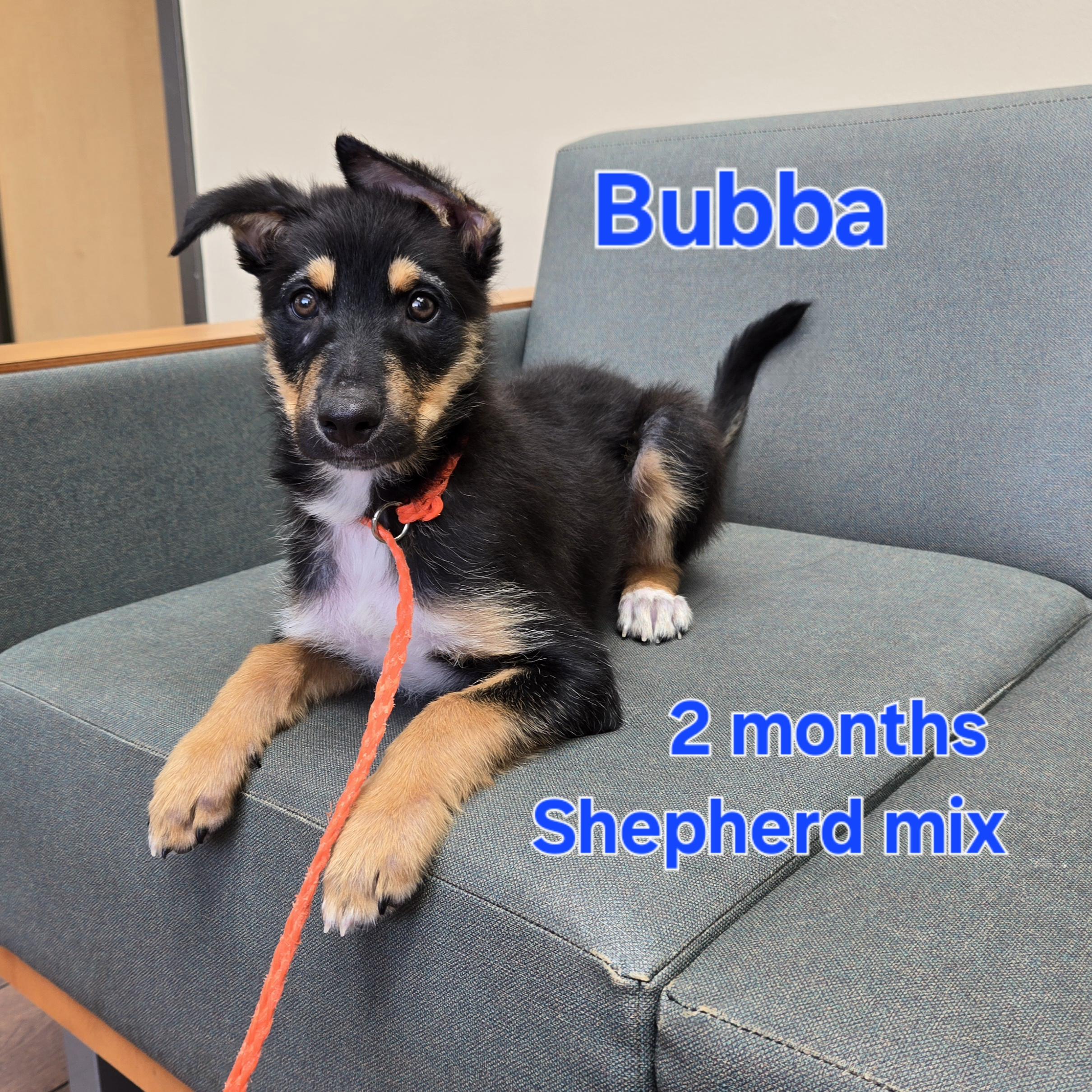 Bubba