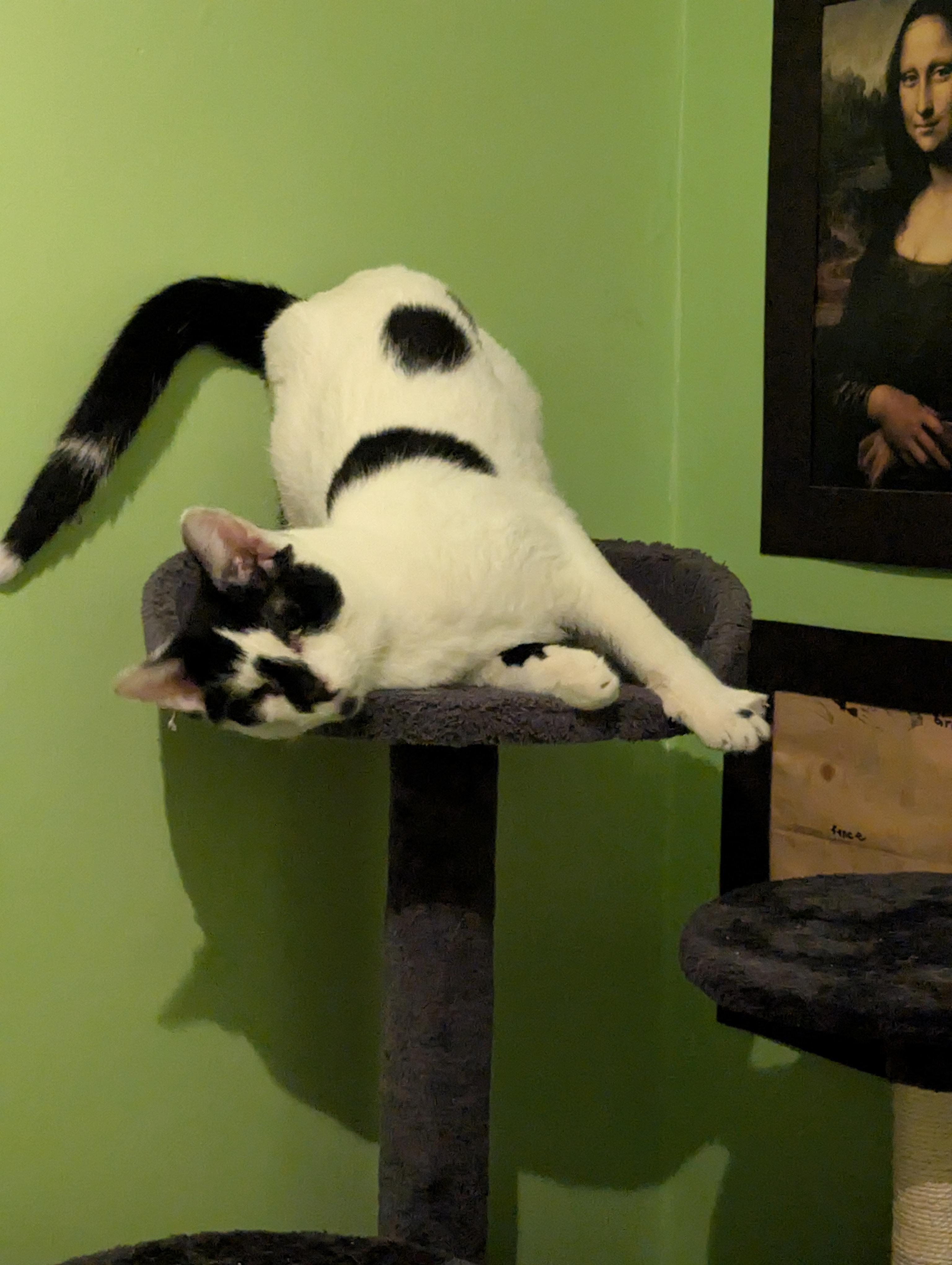 Lurch & Gomez (Bonded Pair)