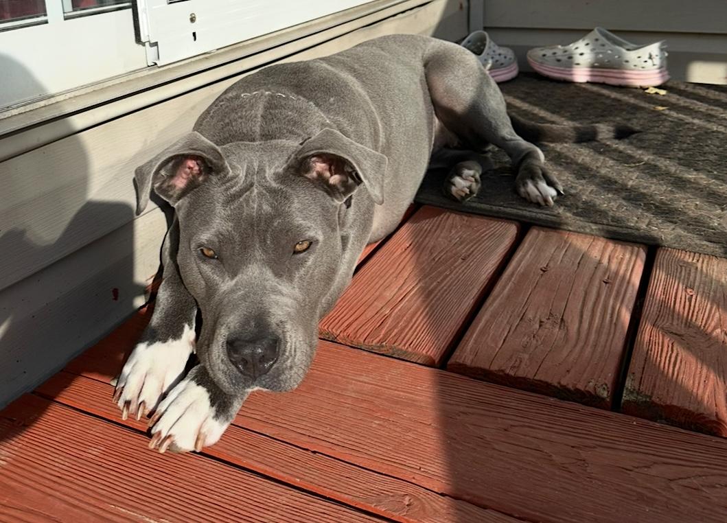 Jada photo 4