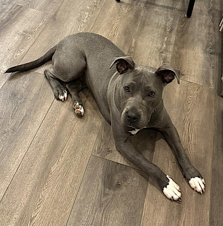 Jada photo 3