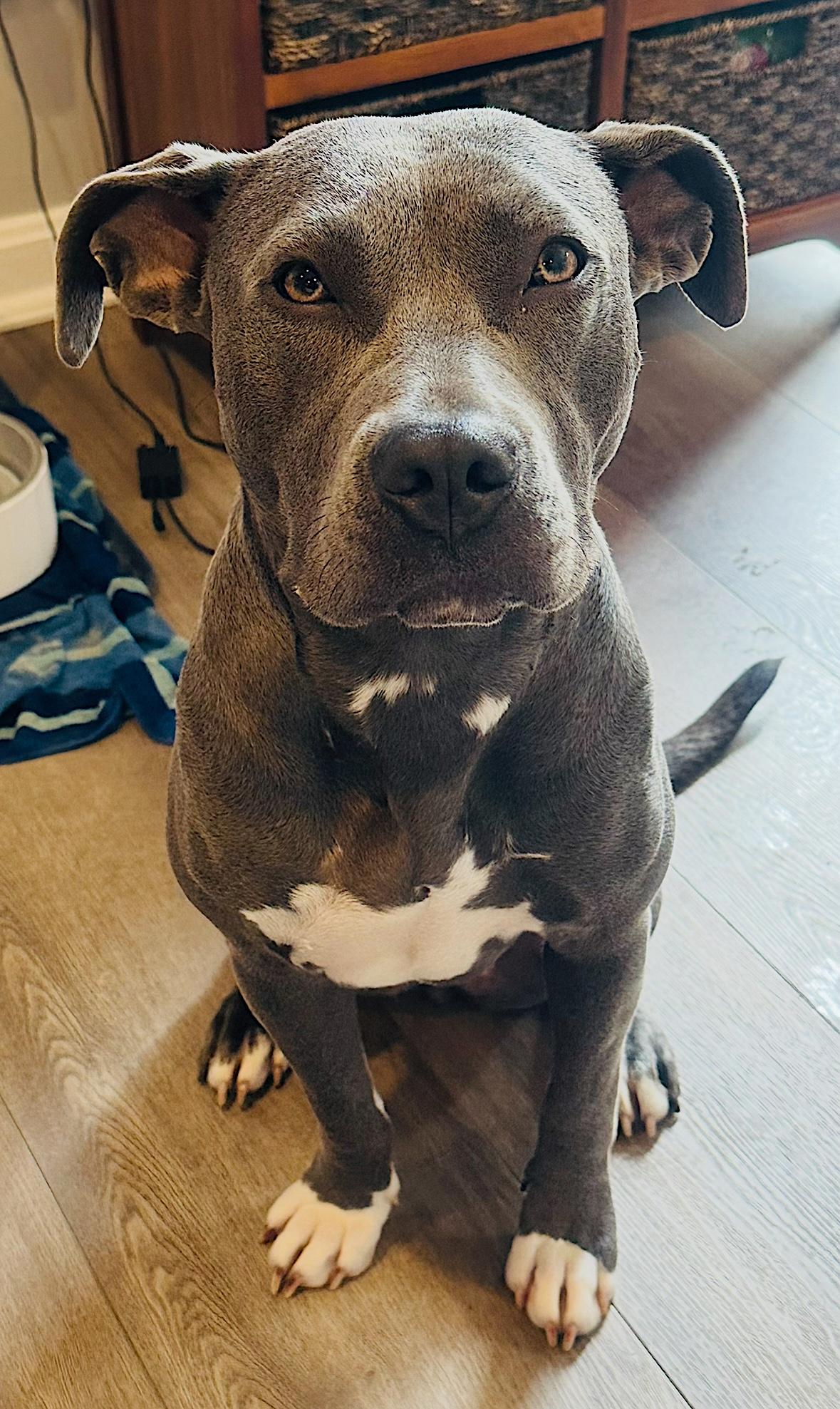Jada photo 2