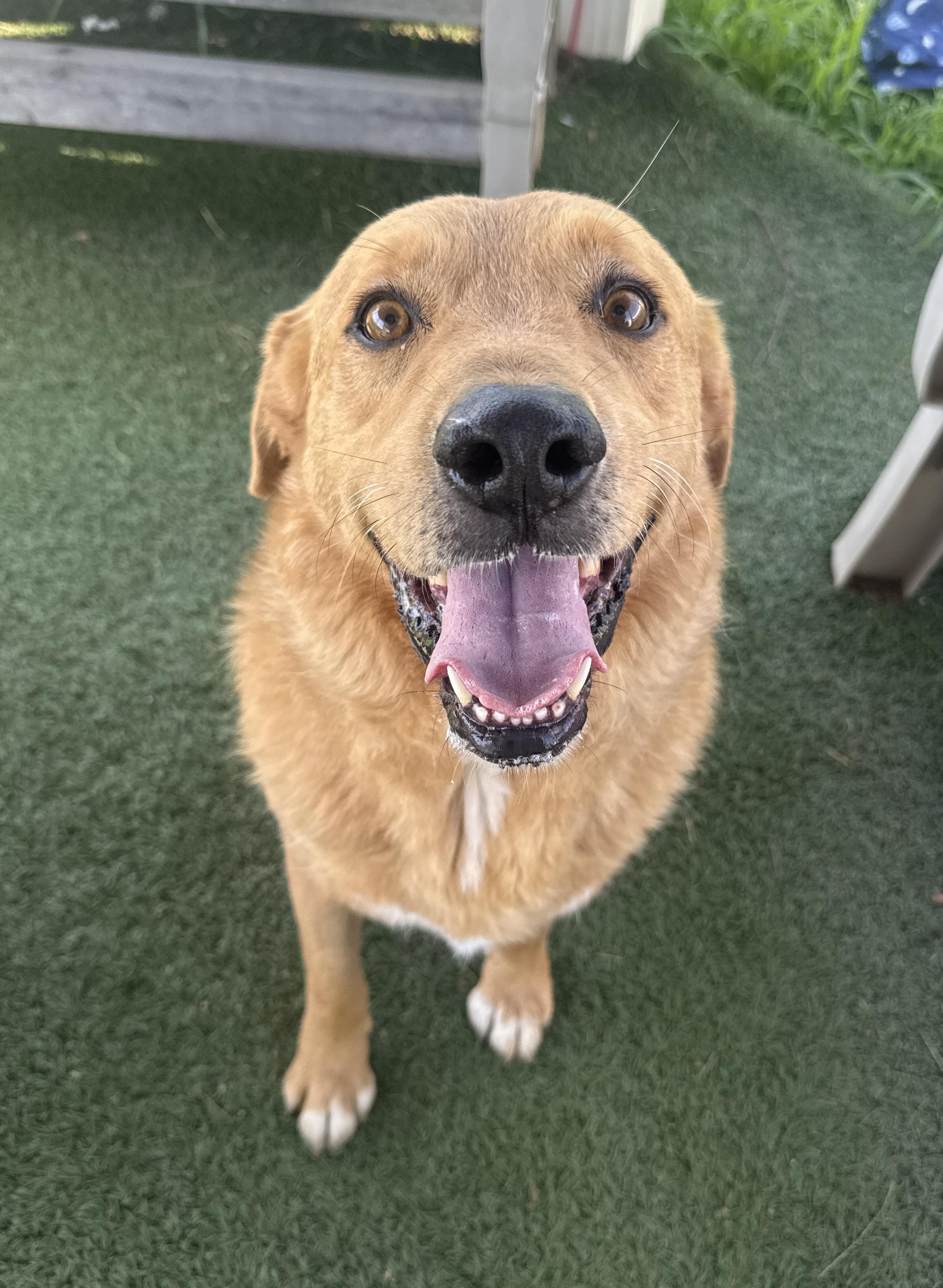 Jimbo James thumbnail 4