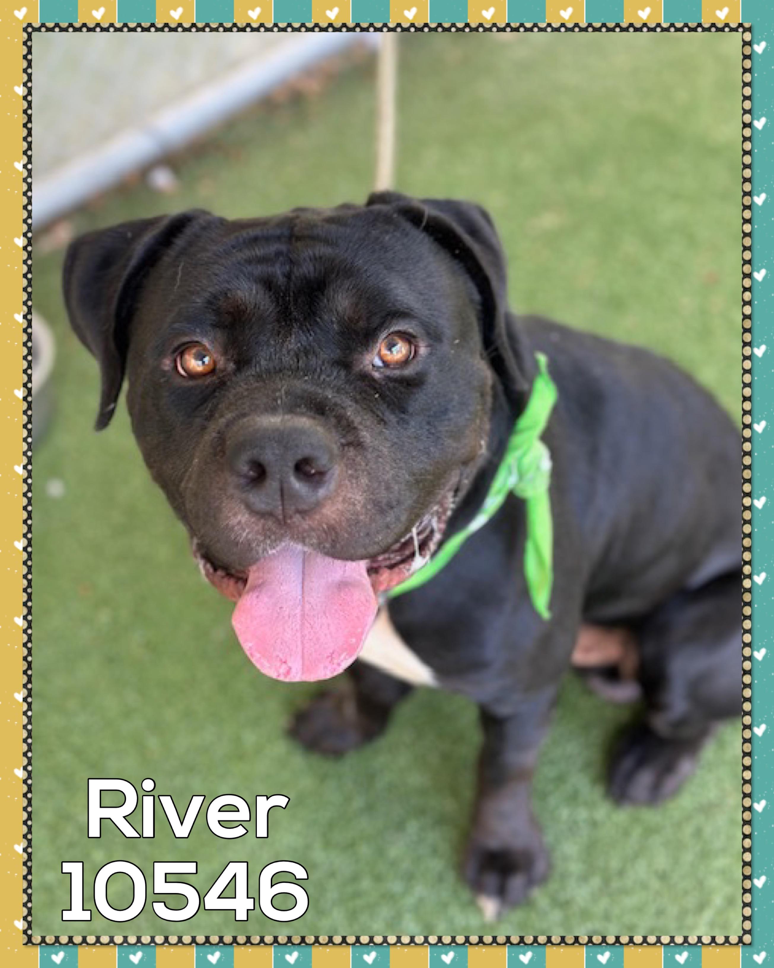 RIVER