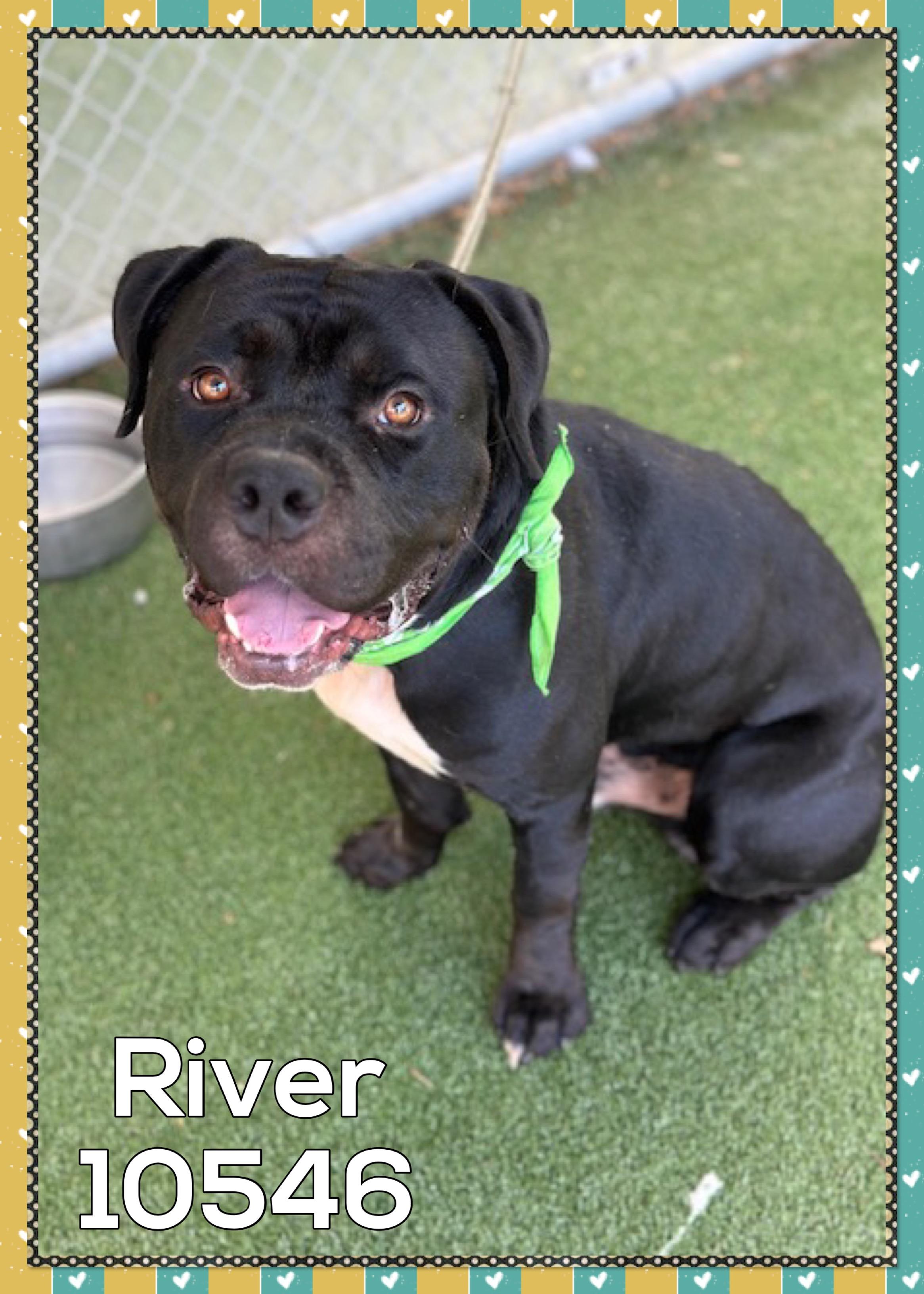 RIVER