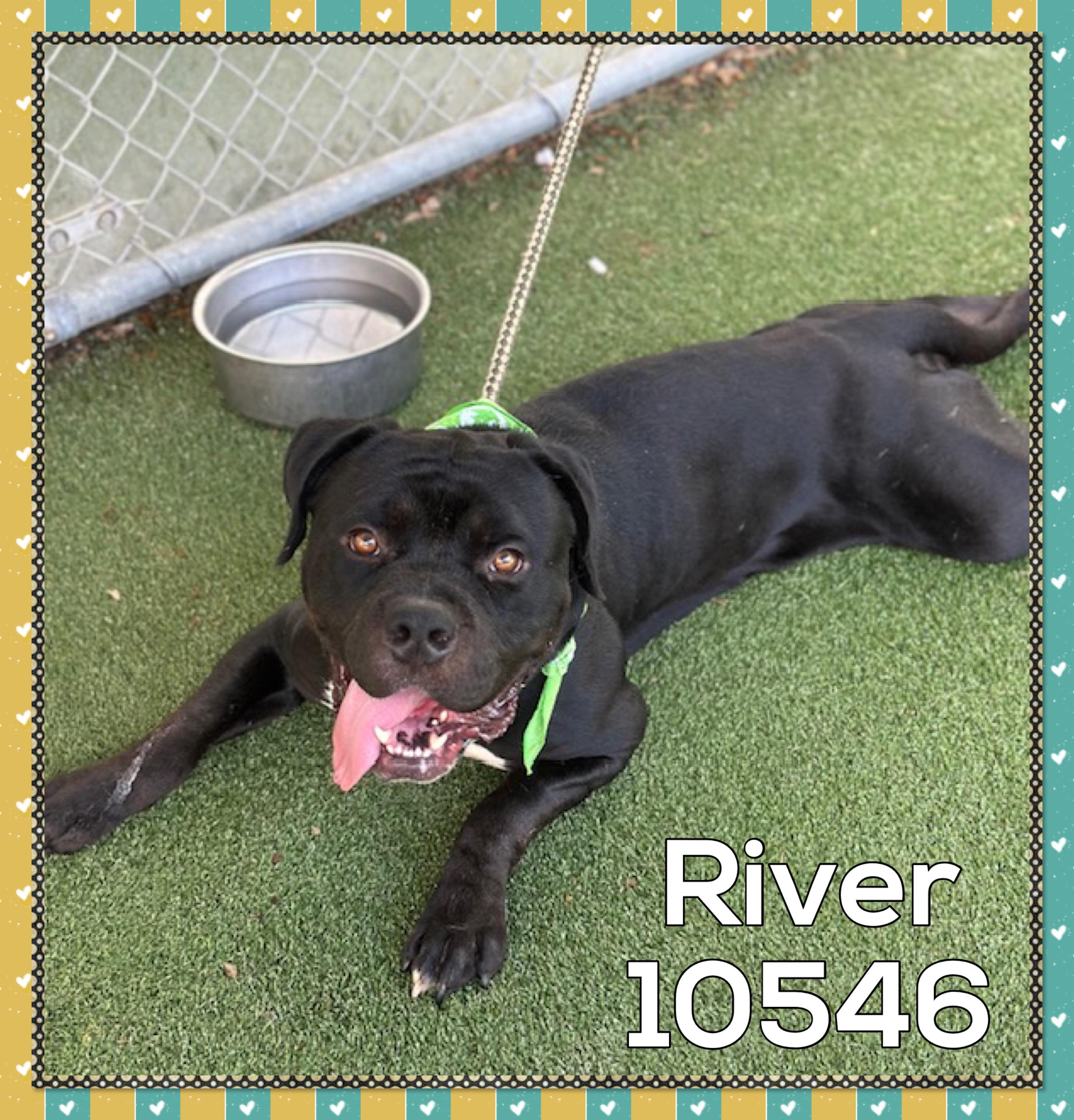 RIVER