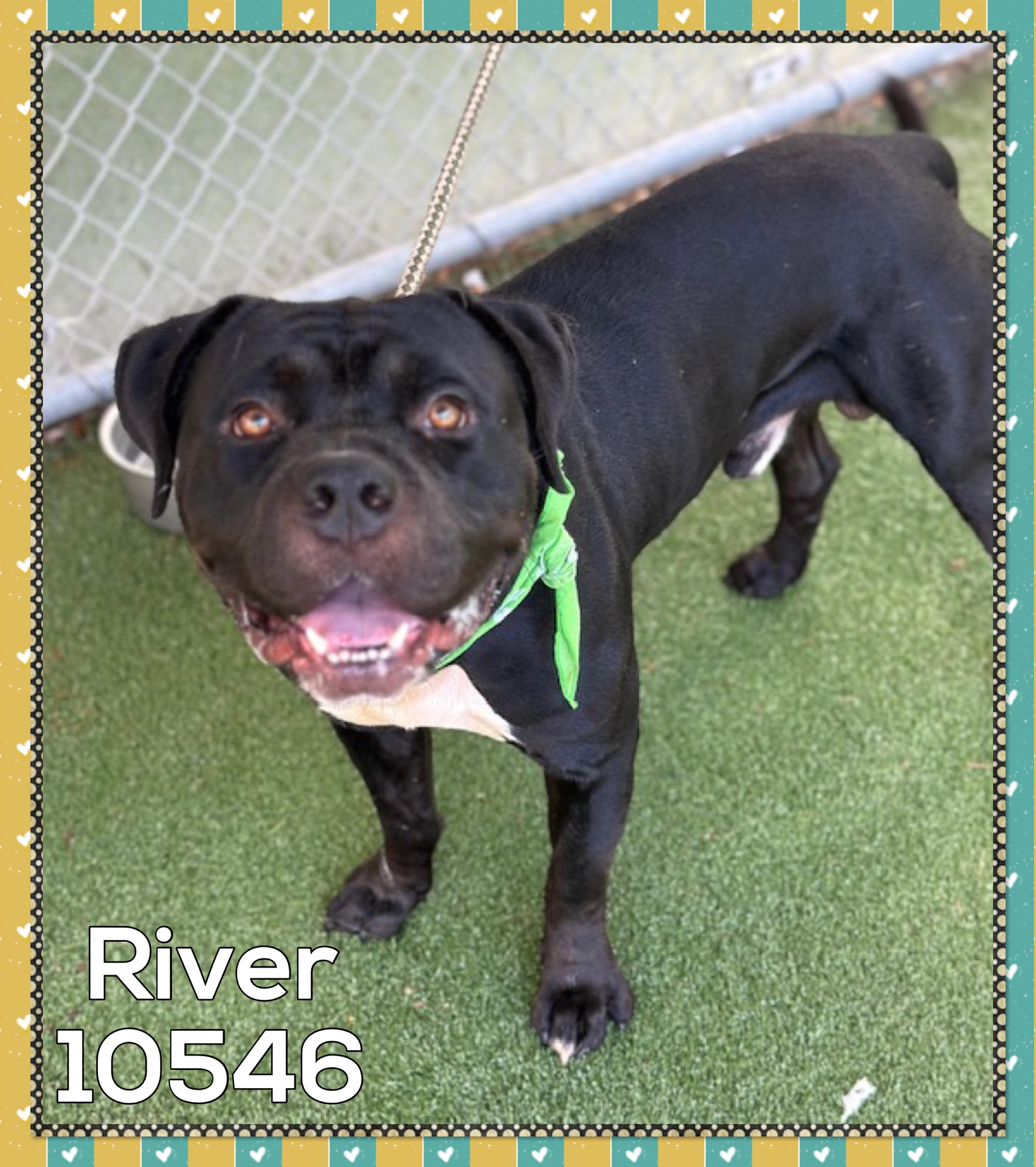 RIVER