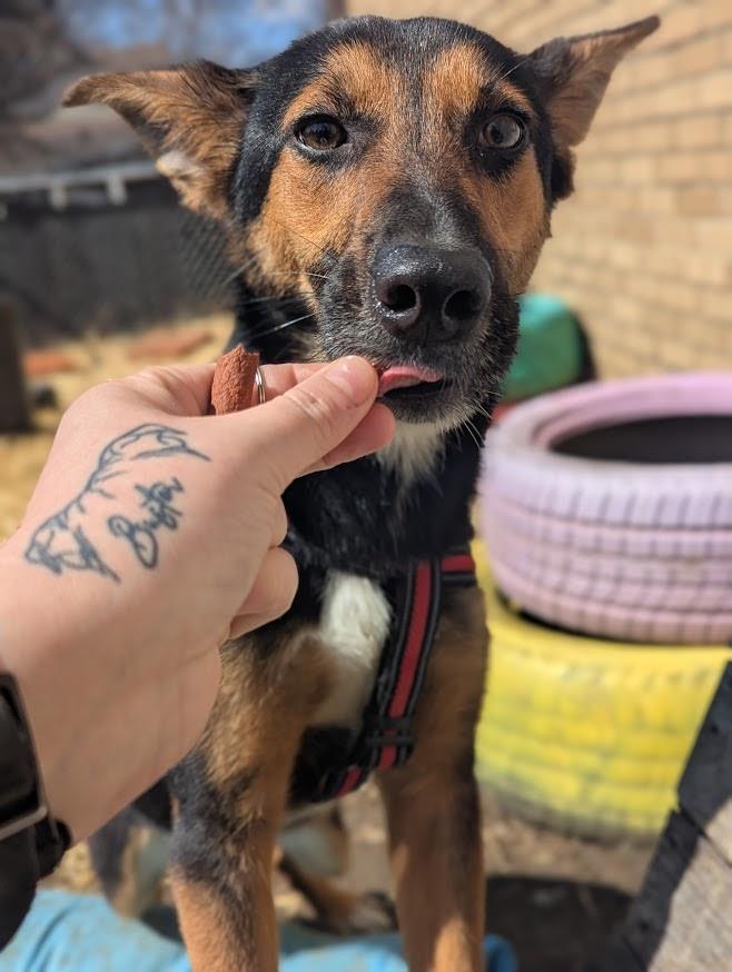 Ellie photo 3