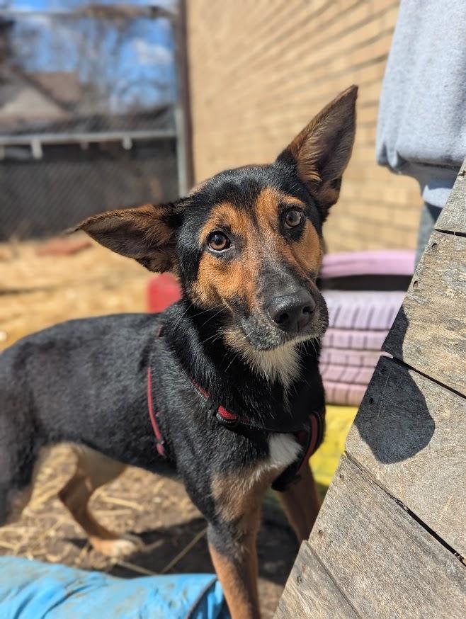 Ellie