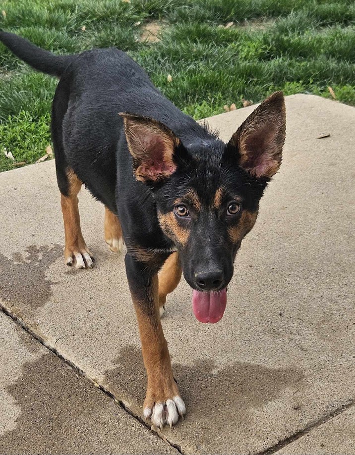 Ellie