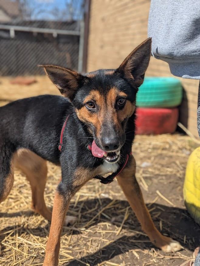 Ellie
