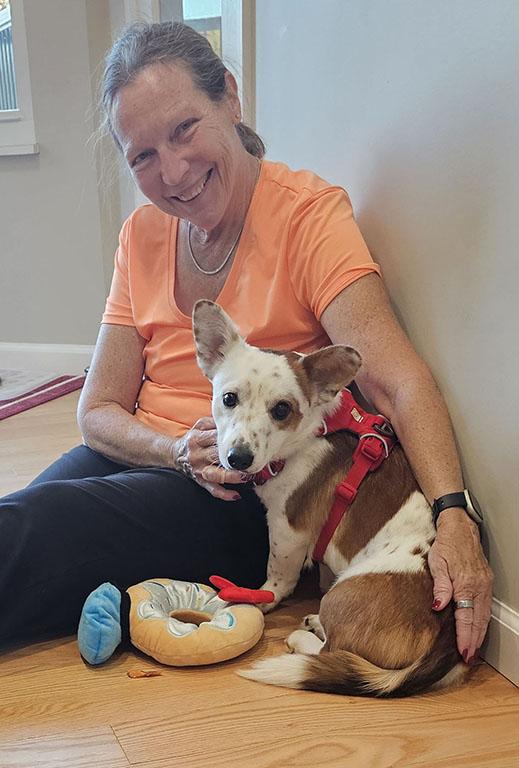 Enlarge Otto, a ADOPTABLE mixed breed in Chesterfield, MO image 3/5