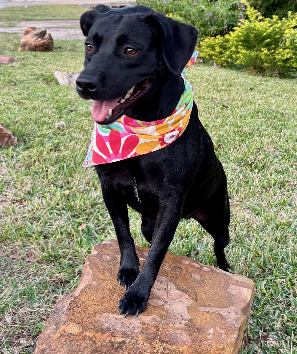 ANNABELLE - GORGEOUS GIRL!