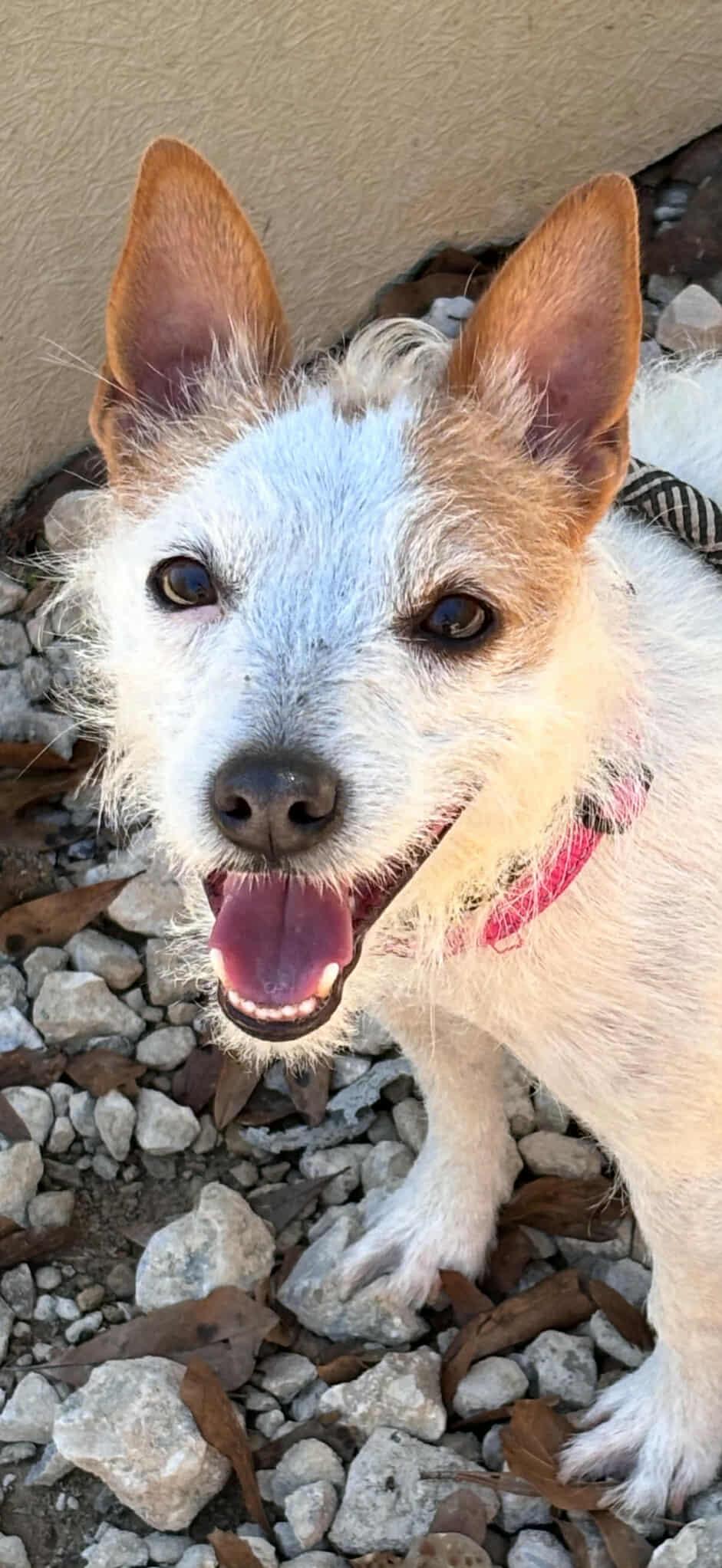 Tess Arriving thumbnail 2