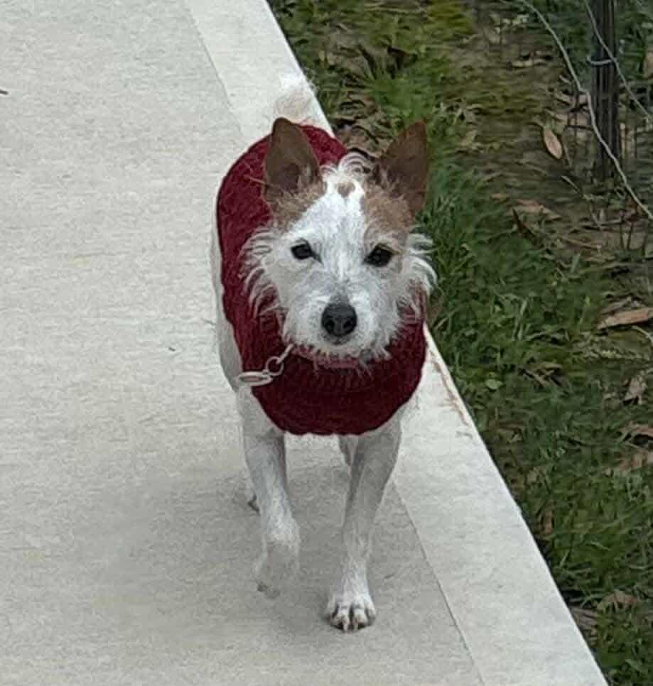 Tess Arriving thumbnail 3