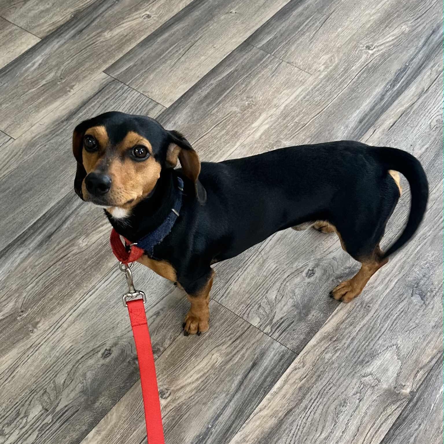Oscar