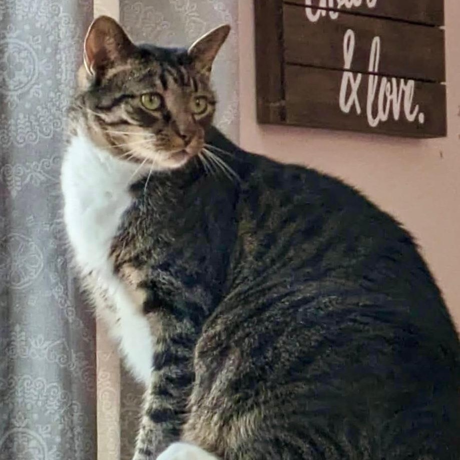 Luigi, Adult Male unknown
