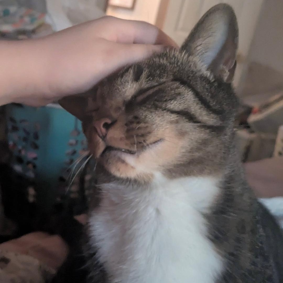 Luigi photo 4