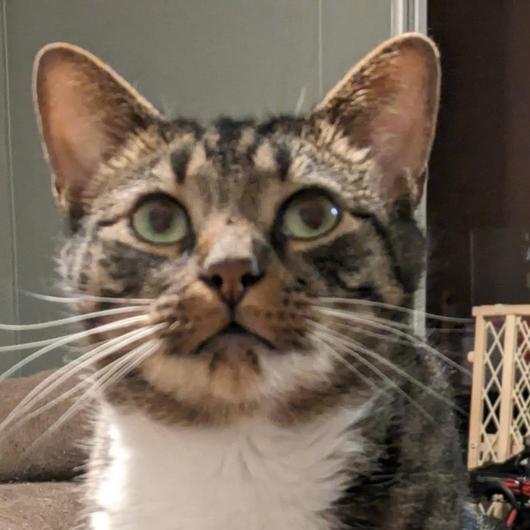 Luigi photo 3