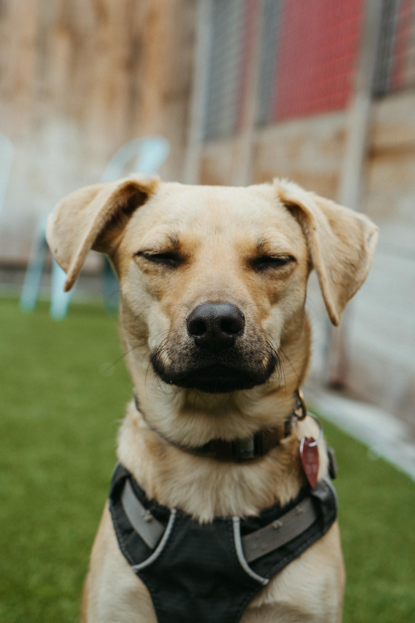 Mocha
