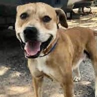 Sugars — thumbnail 3