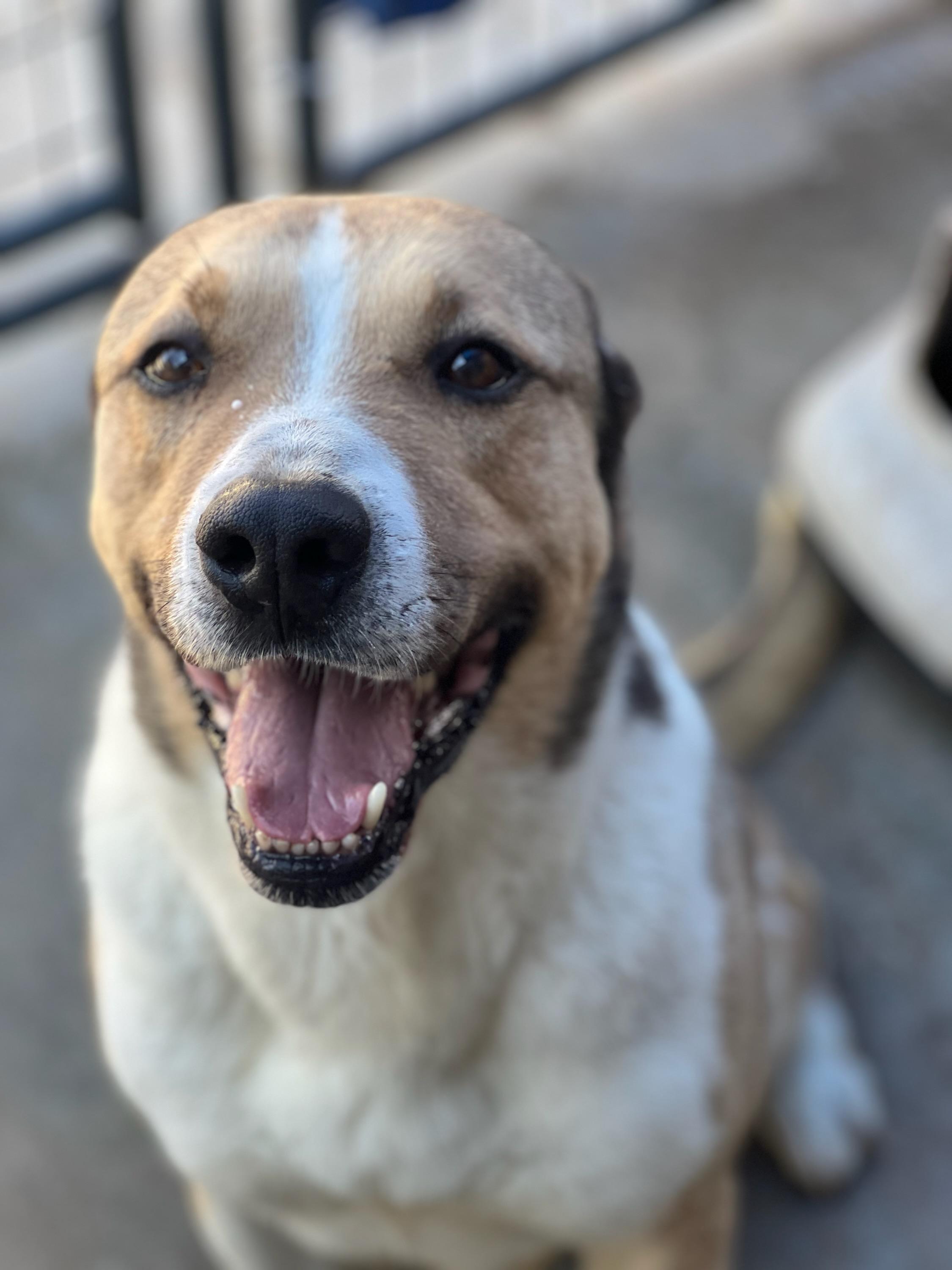 Squidward — thumbnail 2